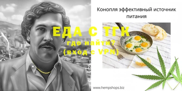 индика Нягань