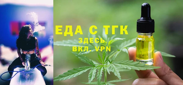 индика Нягань