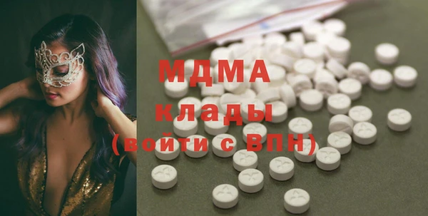 гашик Няндома