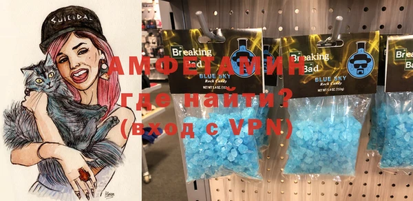 гашик Няндома