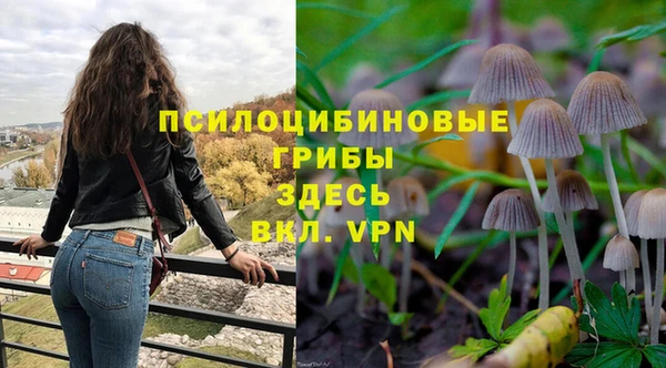 МДПВ Нея