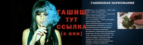 сатива Нязепетровск