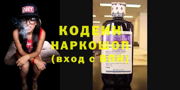 индика Нягань