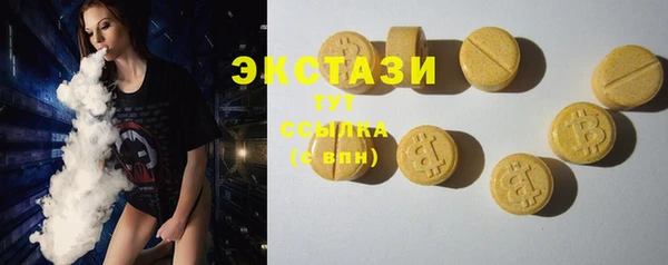 индика Нягань