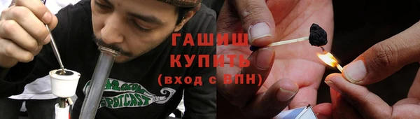 гашик Няндома