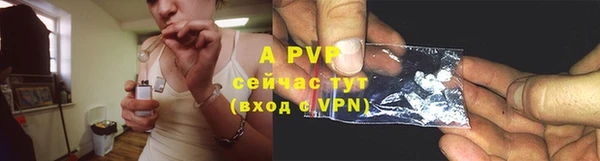 индика Нягань