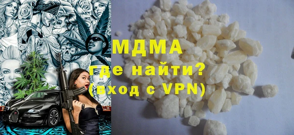 индика Нягань