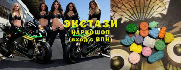 индика Нягань