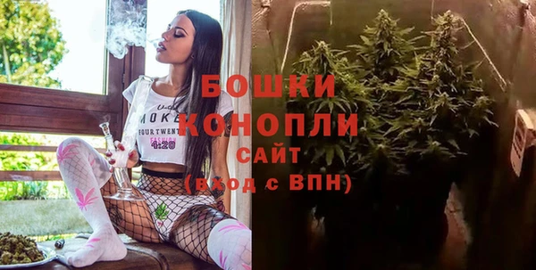 индика Нягань
