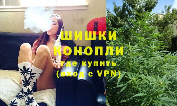 сатива Нязепетровск