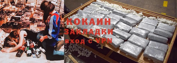 индика Нягань