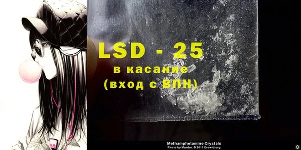 индика Нягань