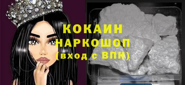 гашик Няндома