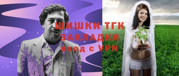 индика Нягань
