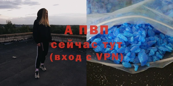 мяу мяу мука Осташков