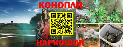 трава Новокубанск