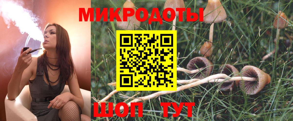 Галлюциногенные грибы мухоморы Липецк